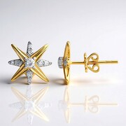 Gouden oorbellen met IF Diamanten (D) (Annette)
