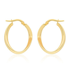 14K Gold Earrings