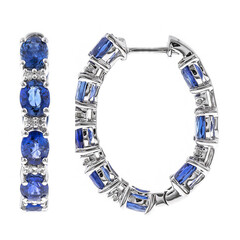 18K Ceylon Blue Sapphire Gold Earrings (CIRARI)