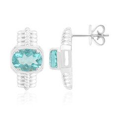 Zilveren oorbellen met Braldu Fluorieten (Pallanova)