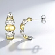 Zircon Silver Earrings (Adela Silber)
