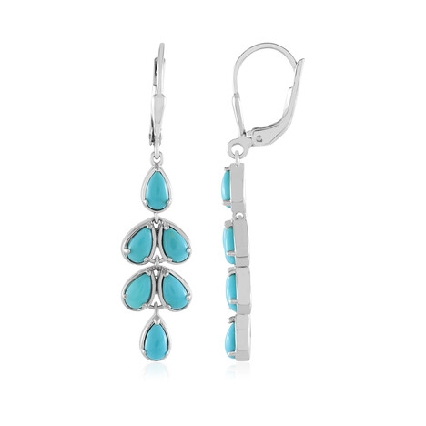 Pendientes en plata con Turquesa bella durmiente