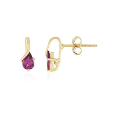 Pendientes en plata con Rodolita Naktamunda