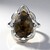 Anello in argento con Quarzo Dinosauro