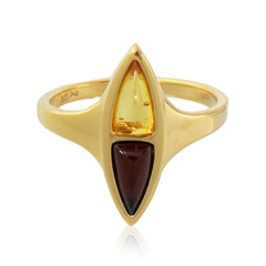 Baltischer Bernstein-Silberring (dagen)