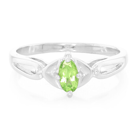 Zilveren ring met een Merelani munt granaat