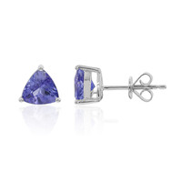 Orecchini in oro con Tanzanite AAA (CIRARI)