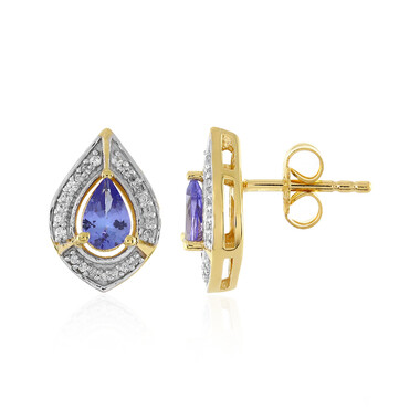 Orecchini in argento con Tanzanite