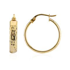 Orecchini in argento