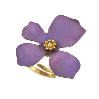 Titanring (dagen)