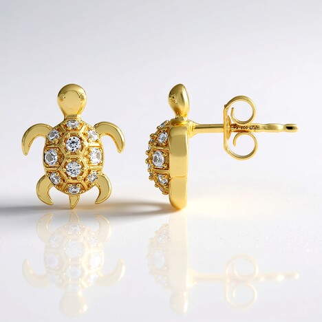Orecchini in argento con Zircone