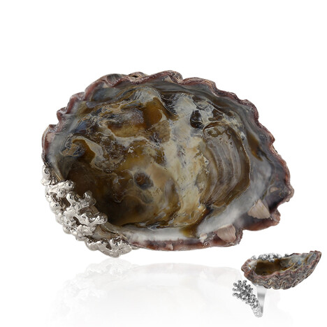 Muschel-Silberring (TPC)