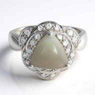 Zilveren ring met een Botswana agaat