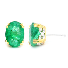 Pit D8 Emerald Silver Earrings (Gems en Vogue)
