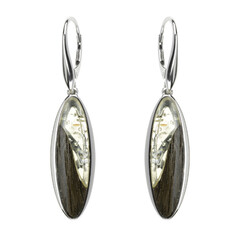 Pendientes en plata con Ámbar báltico (dagen)