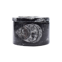 Accessorio con Orthoceras