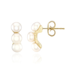 Zilveren oorbellen met Witte zoetwater kweekparels