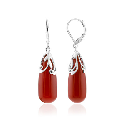 Boucles d'oreilles en argent et Agate rouge