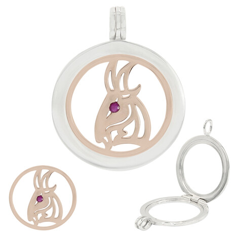 Zilveren hanger met een robijn