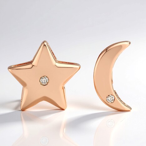 Orecchini in argento con Diamante Argyle Rose de France I1 (Annette)