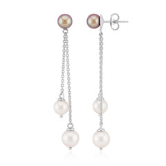 Boucles d'oreilles en argent et Perle d'Akoya (TPC)