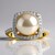 Anello in oro con Perla Akoya (TPC)