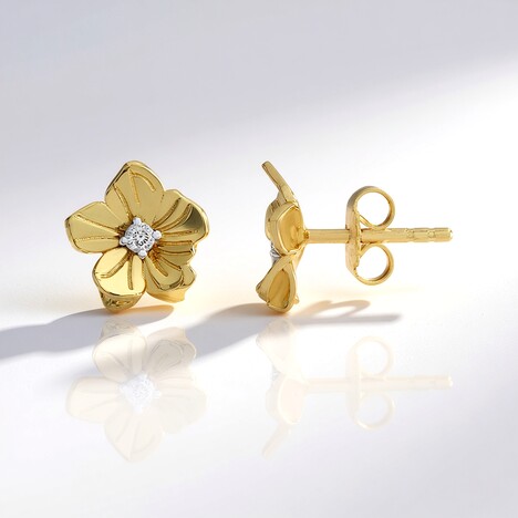 Orecchini in argento con Diamante Cioccolato I2