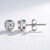 Orecchini in argento con Zircone