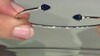 Gouden armband met Blauwe Ceylon saffieren
