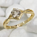 Arions Selection mit Arion Ahrens