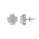 Welo Opal Silver Earrings