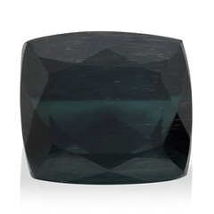 Indicolita de Mutuca