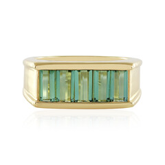 Zilveren ring met groene Benedito toermalijnen (Adela Silber)
