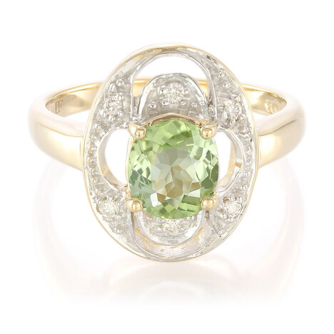 Gouden ring met een Nigeriaanse Paraiba Toermalijn