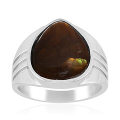 Zilveren ring met een vuur agaat