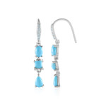 Pendientes en plata con Turquesa bella durmiente (Faszination Türkis)