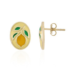 Pendientes en plata