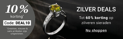 2026-04-zilverkorting