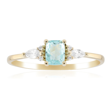 Gouden ring met een Paraiba toermalijn