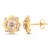 Gouden oorbellen met I2 Bruine Diamanten (SUHANA)