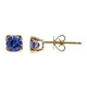 10K AAA Tanzanite Gold Earrings