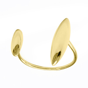 Silberring