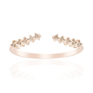 SI1 Argyle-Rose de France-Brillant-Goldring (Annette)