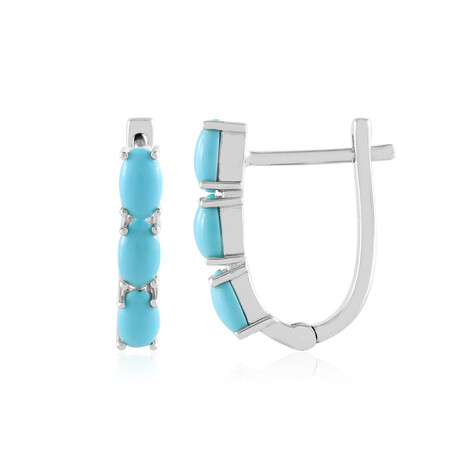 Sleeping Beauty-Türkis-Silberohrringe