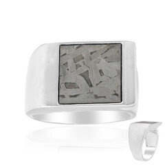 Anillo en plata con Meteorito Aletai