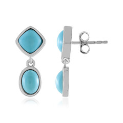 Orecchini in argento con Turchese