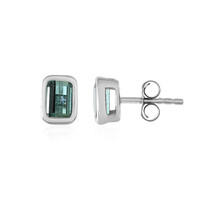 Pendientes en plata con Turmalina verde Benedito (Adela Silber)