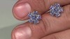 Pendientes en plata con Tanzanita