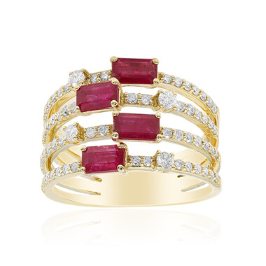 AAA-Mosambik-Rubin-Goldring (CIRARI)