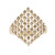 Gouden ring met I2 Bruine Diamanten (SUHANA)